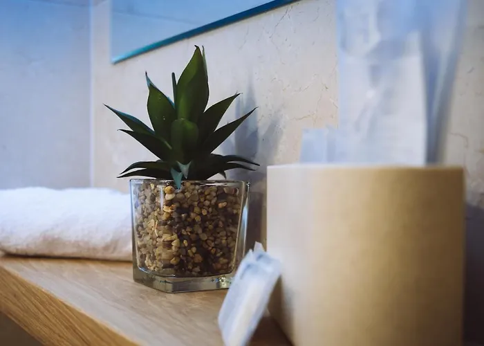 Apartament Casa Mariela *